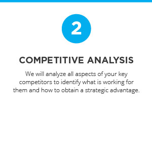Competitive Analysis