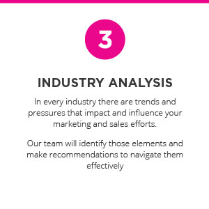 Industry Analysis