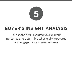 Buyer's Insight Analysis