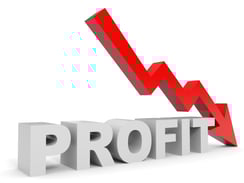 The Director’s Guide to Customizing Magento - Increase online revenue