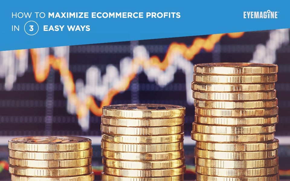 How To Maximize eCommerce Profits in 3 Easy Ways