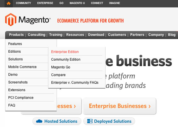 magento web developer magento web development