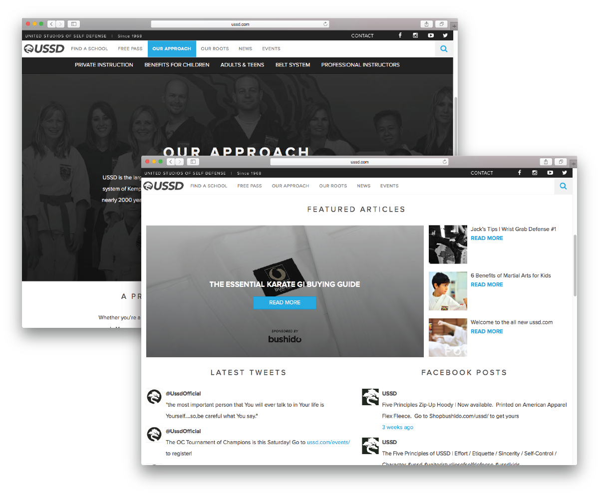 ussd-cascadeBrowsers-website-v2.png