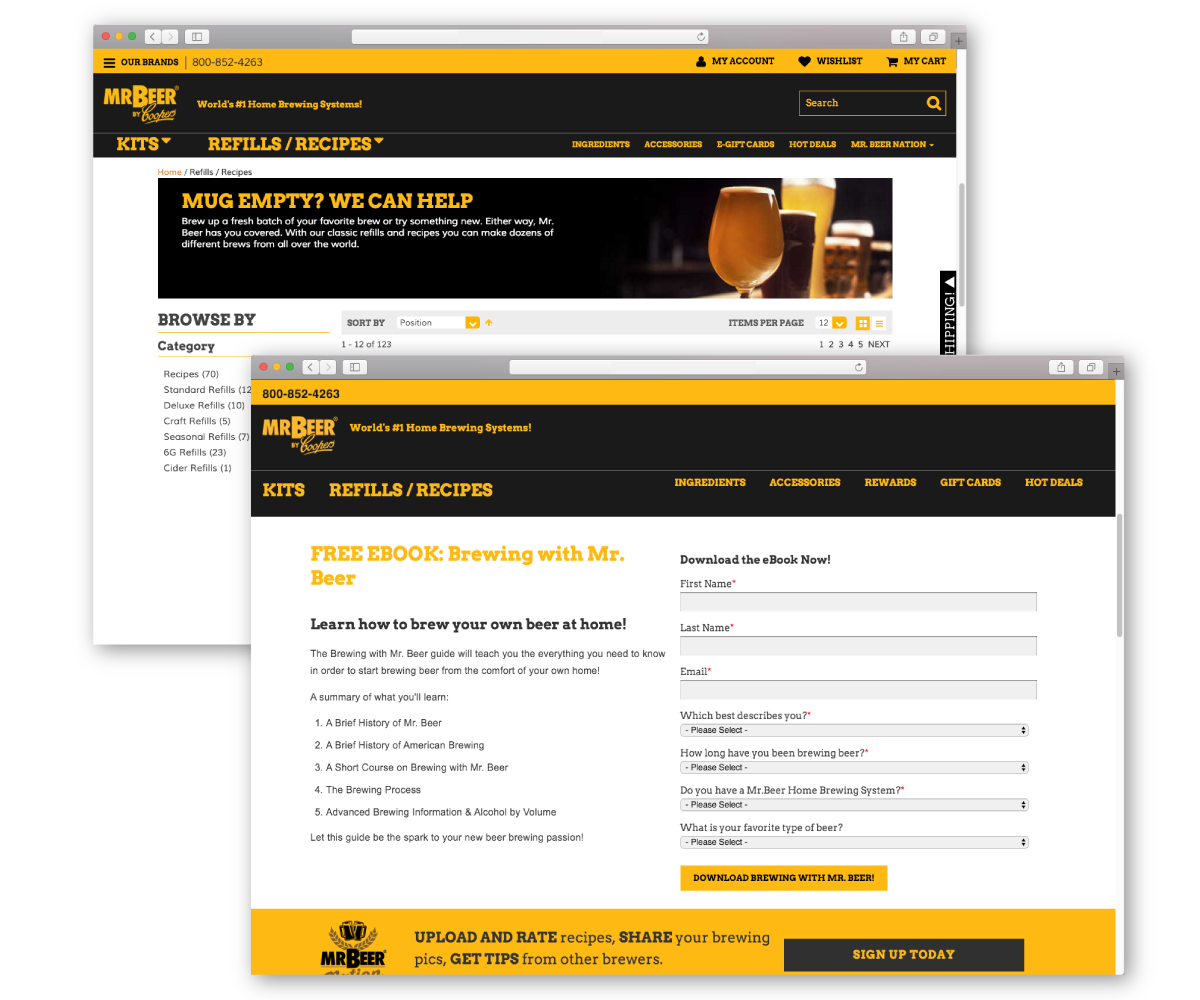 Mr. Beer EYEMAGINE Case Study 